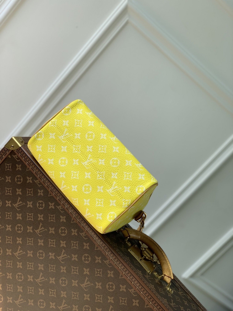 LV Speedy Bags